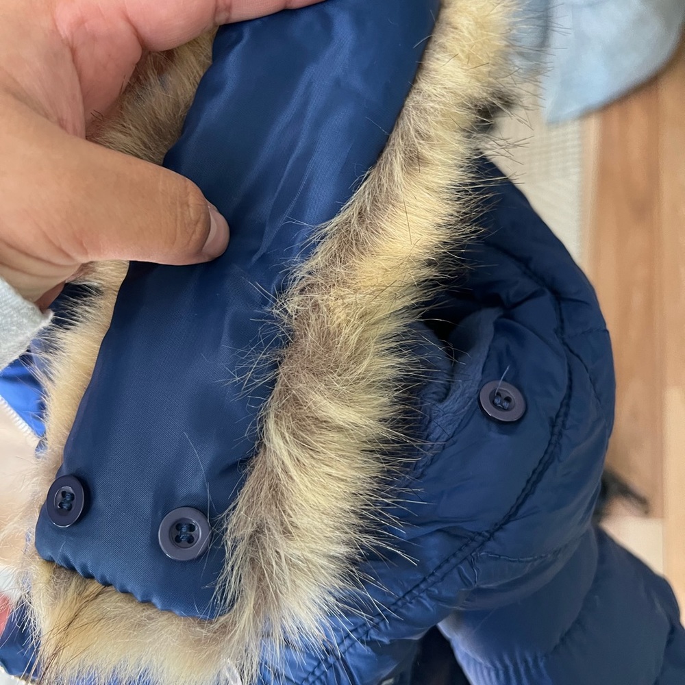Puffer jacket - Picture 5 of 6
